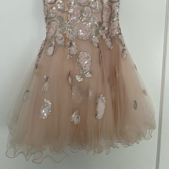 Blush prom dress - Picture 3 of 4
